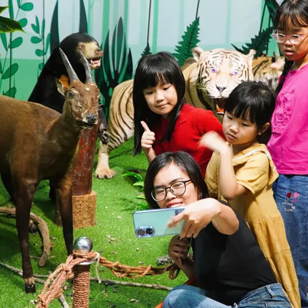 Bảo tàng Thiên nhiên duyên hải miền Trung ở Huế – Điểm đến khám phá thiên nhiên độc đáo