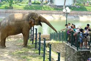 Công viên Thủ Lệ (Hà Nội) - Một buổi sáng trong lành và bình yên