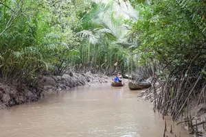 Cù Lao Dung Sóc Trăng - Khám phá "hòn ngọc" xanh của miền Tây