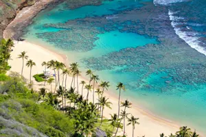 Cù Lao Chàm - "Viên ngọc xanh" quý giá của Quảng Nam