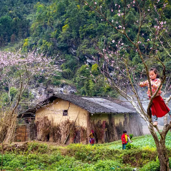 Khám phá Đồng Văn Hà Giang: Hành trình chạm tay vào "Thiên đường xám" kỳ vĩ