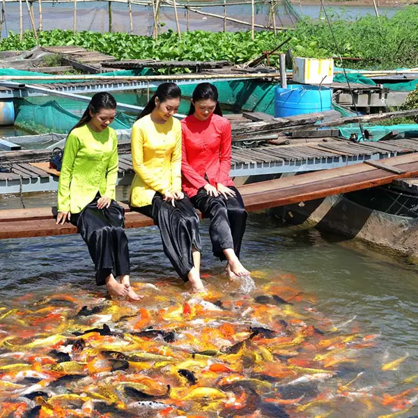 Cồn Sơn Cần Thơ: Hành trình trở về miền Tây thuần khiết và bình yên