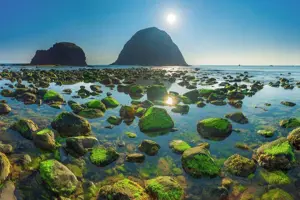 Hòn Yến Phú Yên: Chiêm ngưỡng rặng san hô lộ thiên độc nhất vô nhị