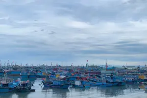 Làng chài Mỹ Tân buổi sớm: Bản giao hưởng hối hả khi những con tàu trở về