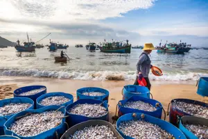 Khám phá Nhơn Hải - Làng chải cổ tích giữa lòng Quy Nhơn