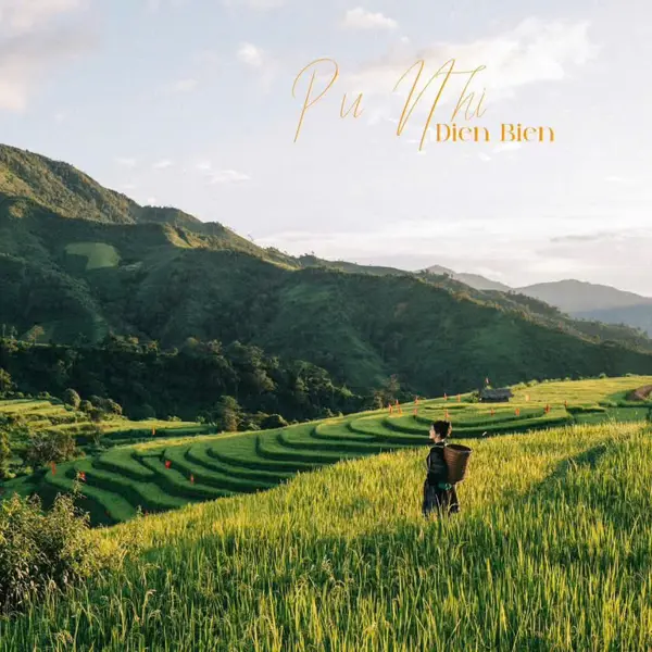 Mùa vàng Pu Nhi: Bản tình ca thơ mộng giữa mây ngàn Điện Biên