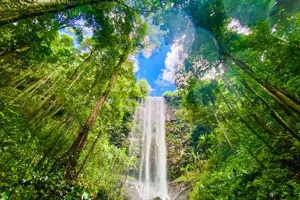 Những địa điểm du lịch nổi tiếng tại Măng Đen mà du khách không nên bỏ lỡ