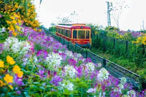 Tàu hỏa leo núi Mường Hoa: Thước phim cổ điển giữa bản làng Sapa