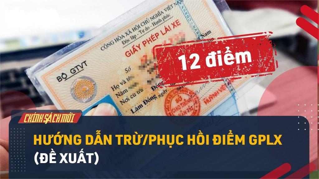 Chi tiết mức trừ điểm giấy phép lái xe từ năm 2025