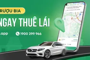 Hệ thống hạng thành viên của THUELAI