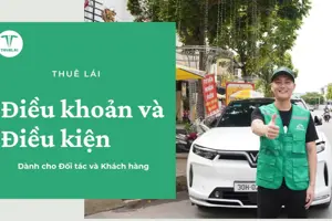 Điều khoản và điều kiện