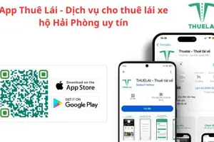 Dịch vụ thuê lái xe hộ Hải Phòng: Giải pháp tiện lợi an toàn