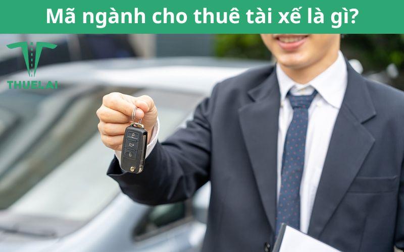 Mã ngành cho thuê tài xế: Thông tin chi tiết chuẩn nhất 2025