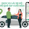 Rủi ro khi tự lái xe về quê dịp cuối năm và giải pháp lái xe hộ thông minh
