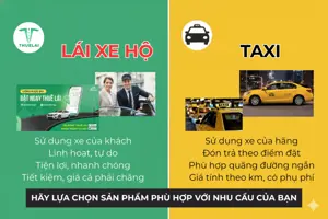 Tại sao nên chọn dịch vụ lái xe hộ sau khi uống rượu, bia thay vì đặt taxi?