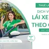 Tại sao dịch vụ thuê tài xế theo giờ trở thành lựa chọn hàng đầu hiện nay?
