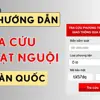 Thuê Lái hướng dẫn chi tiết cách kiểm tra phạt nguội nhanh chóng