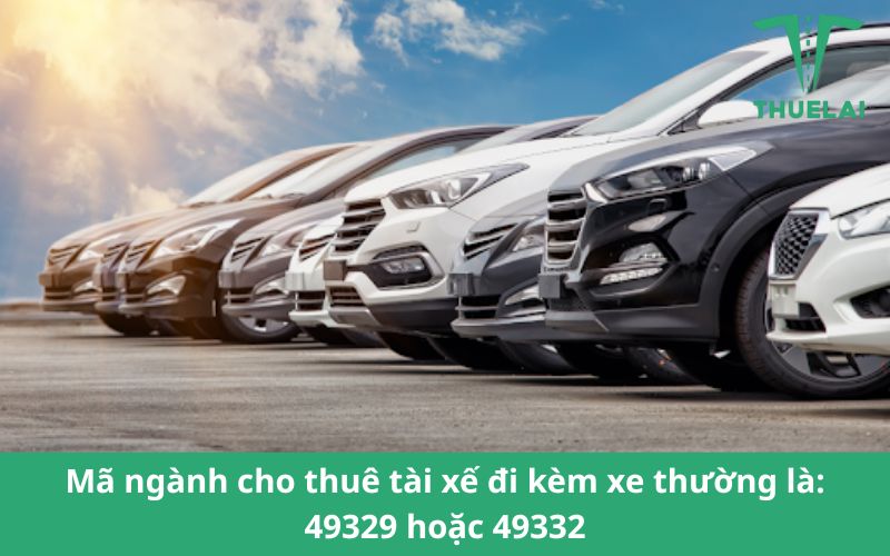 Mã ngành cho thuê tài xế kèm theo xe