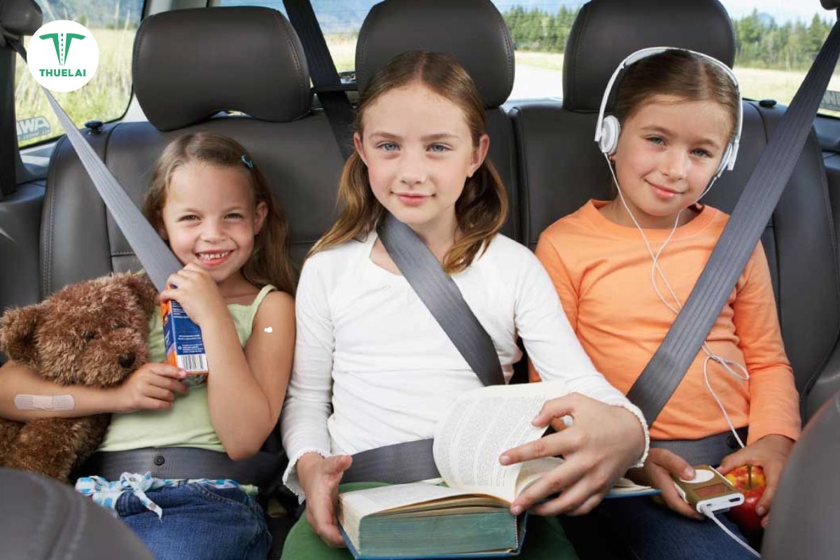 Tài xế lái xe gia đình