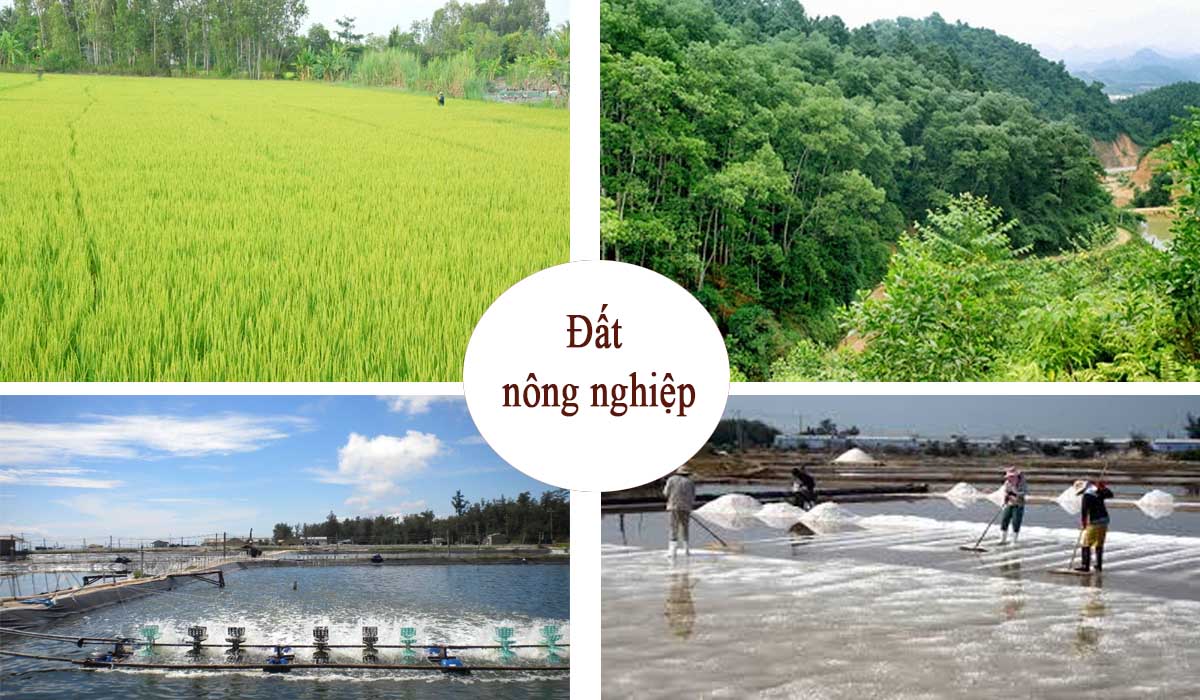 Rủi ro khi đầu tư đất nông nghiệp không sổ