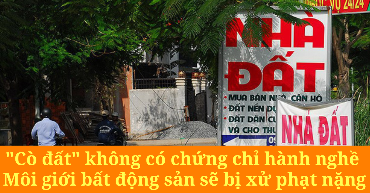 Xử phạt môi giới không có chứng chỉ hành nghề