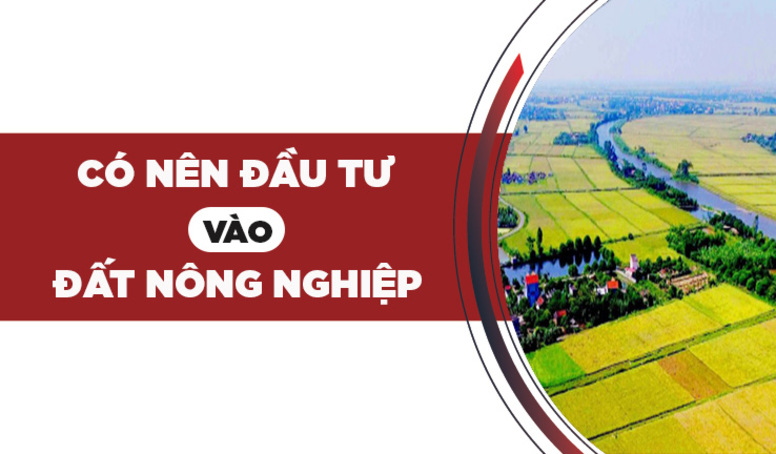 Có nên đầu tư vào đất nông nghiệp hay không là một câu hỏi khó?