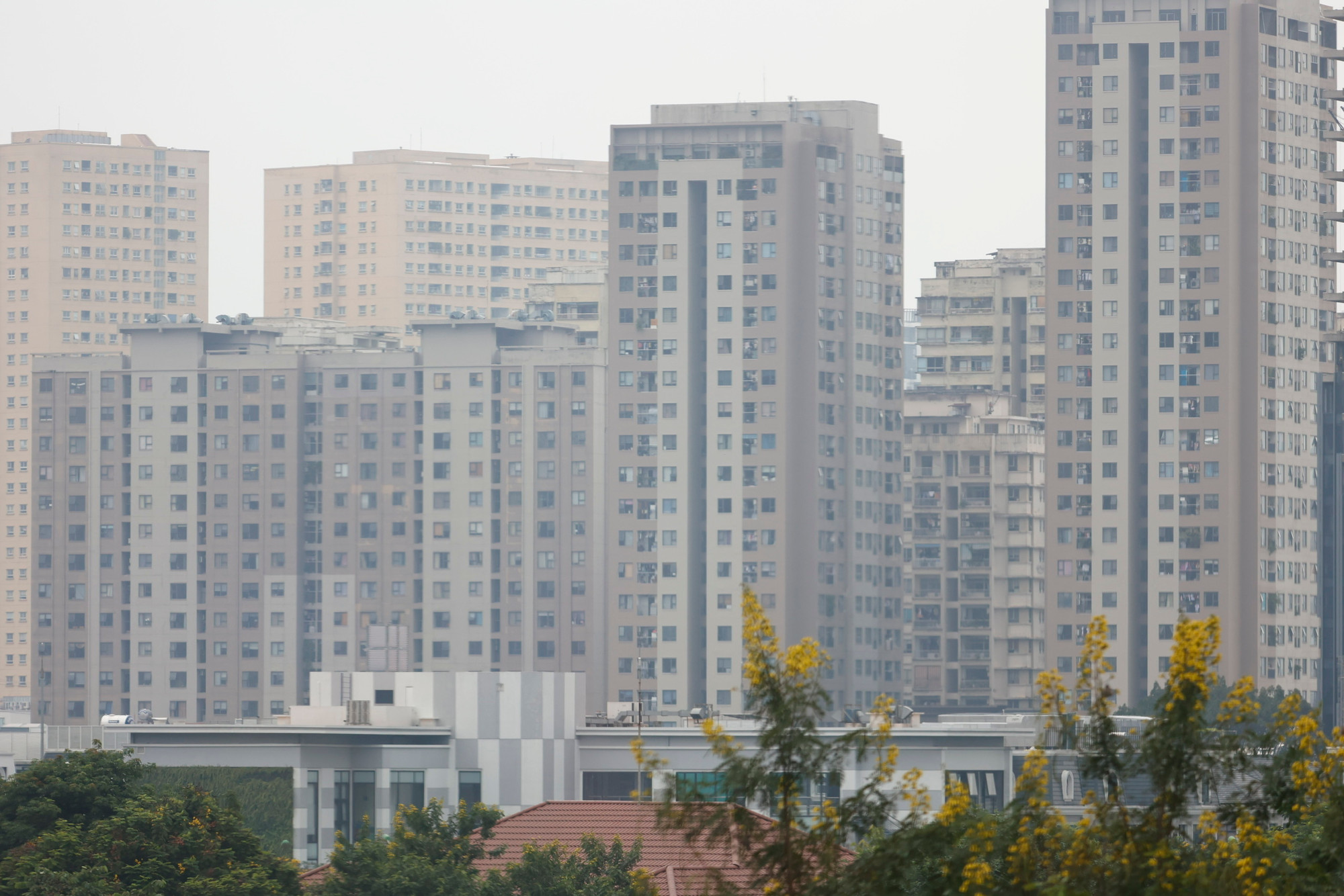 Vấn đề chênh lệch cung cầu được quan tâm