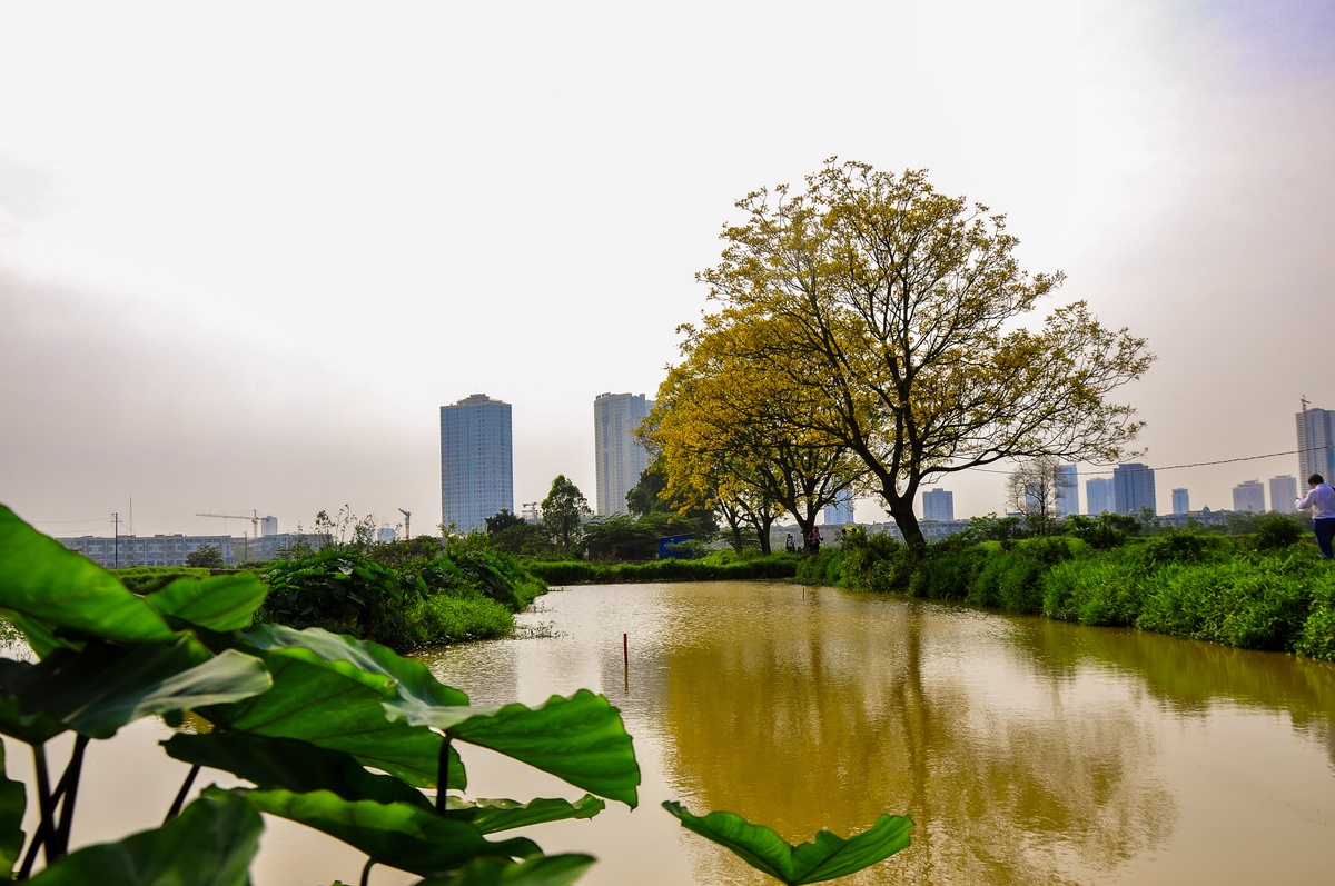 Đại đô thị ven đô