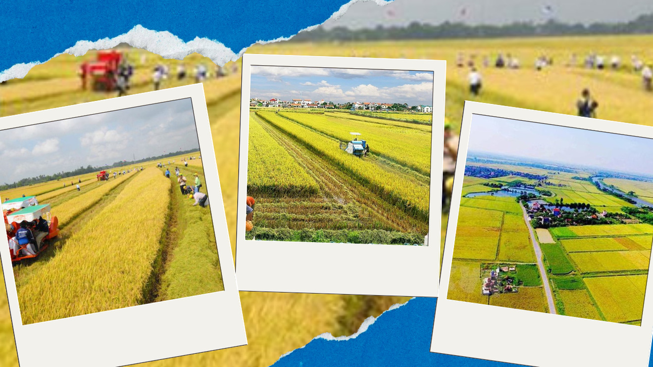 Kéo dài thời gian miễn thuế sử dụng đất nông nghiệp