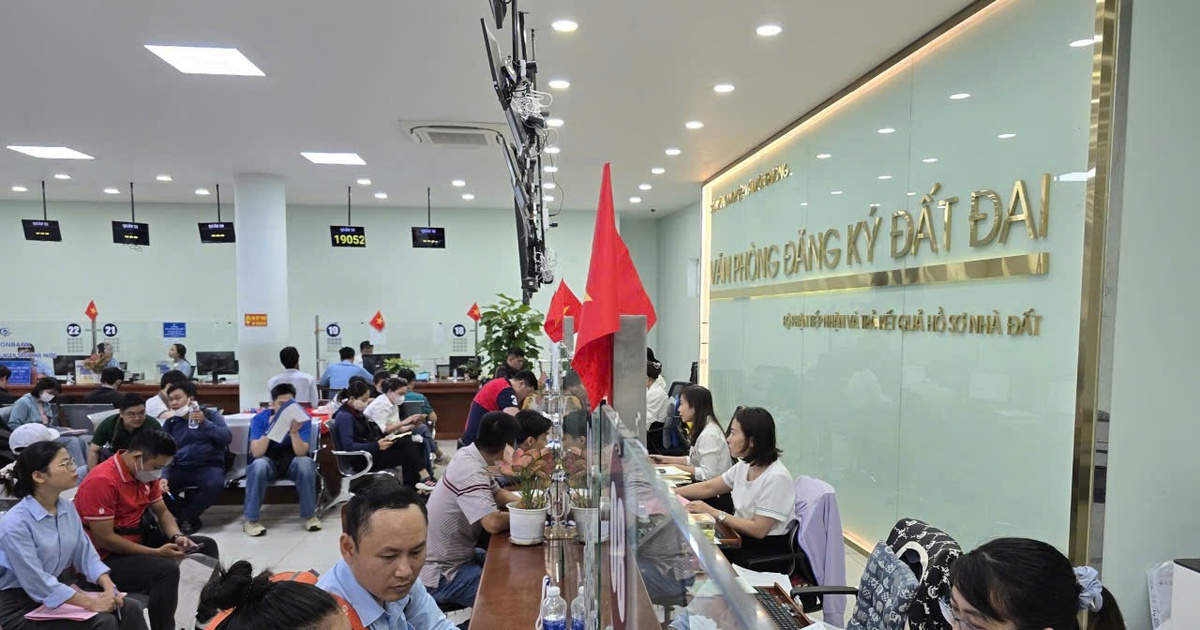 cơ sở dữ liệu đất đai 