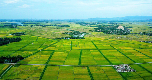 Đẩy mạnh phân cấp phân quyền trong quản lý đất đai