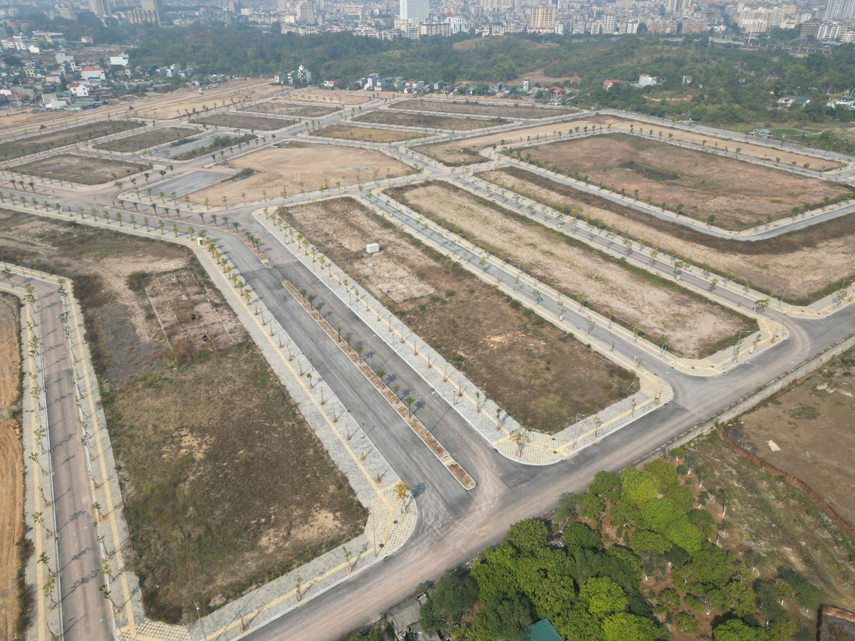 Pháp lý dự án Vera Diamond City