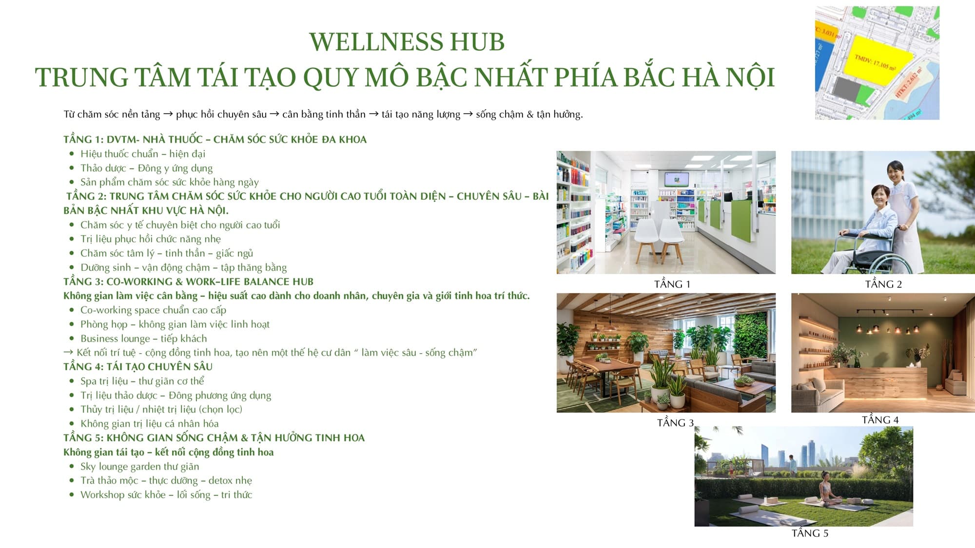 Wellness Hub