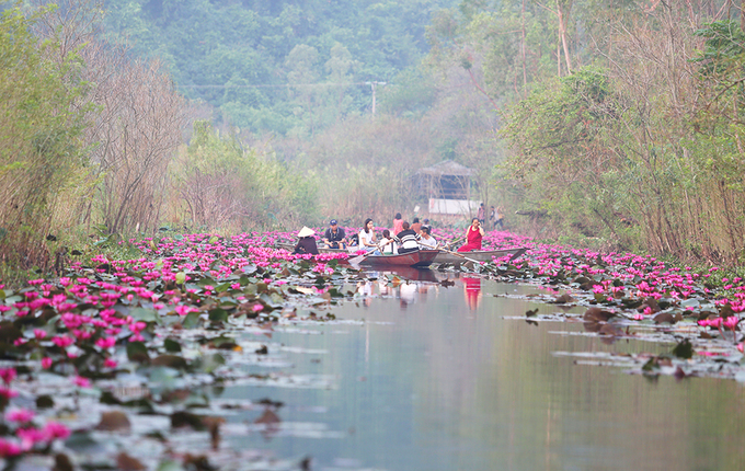 suối Yến mùa hoa nở