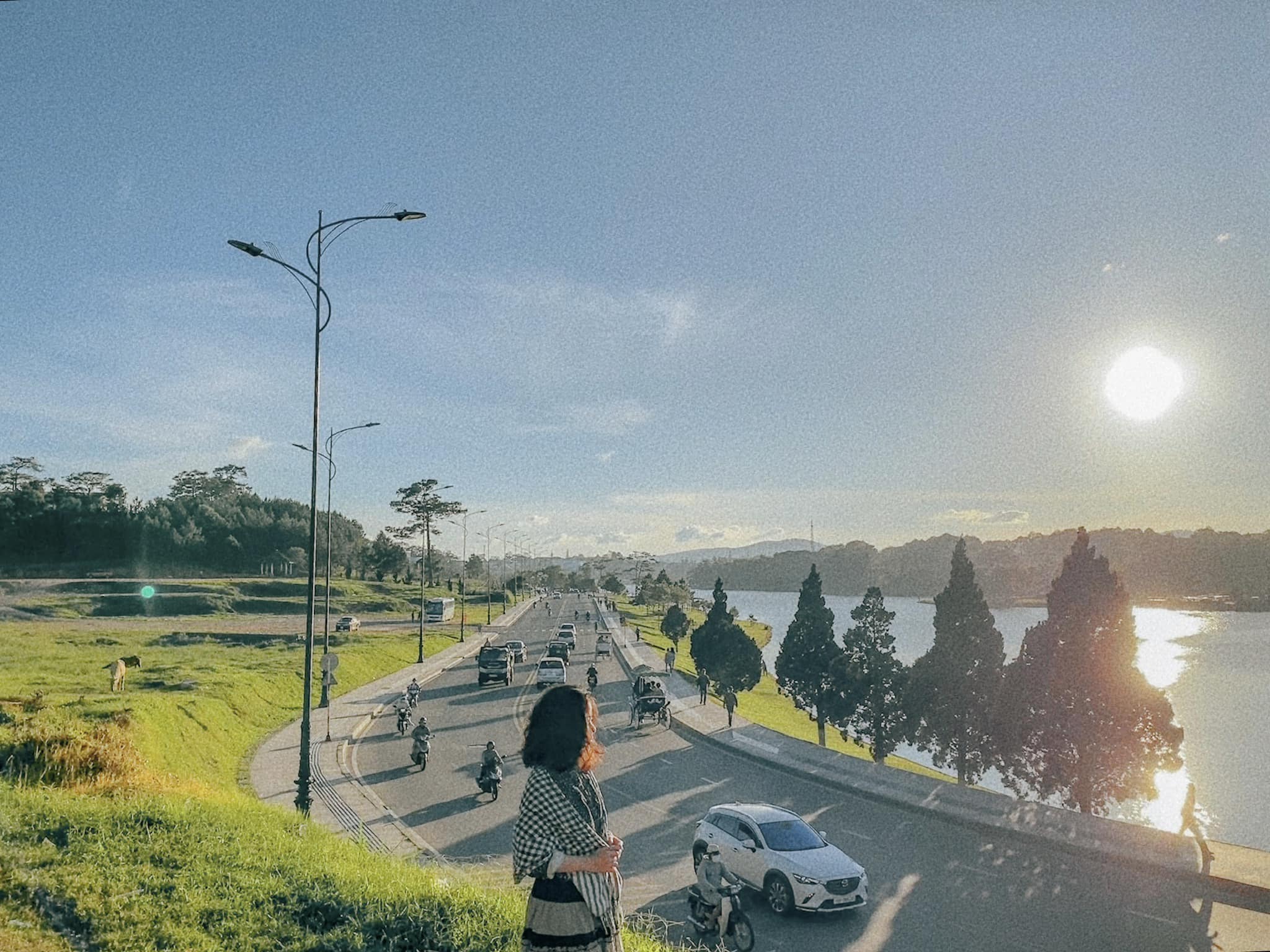 Dốc Sương Nguyệt Ánh Đà Lạt "hot" trở lại  nhờ trend Đại Lý của giới trẻ