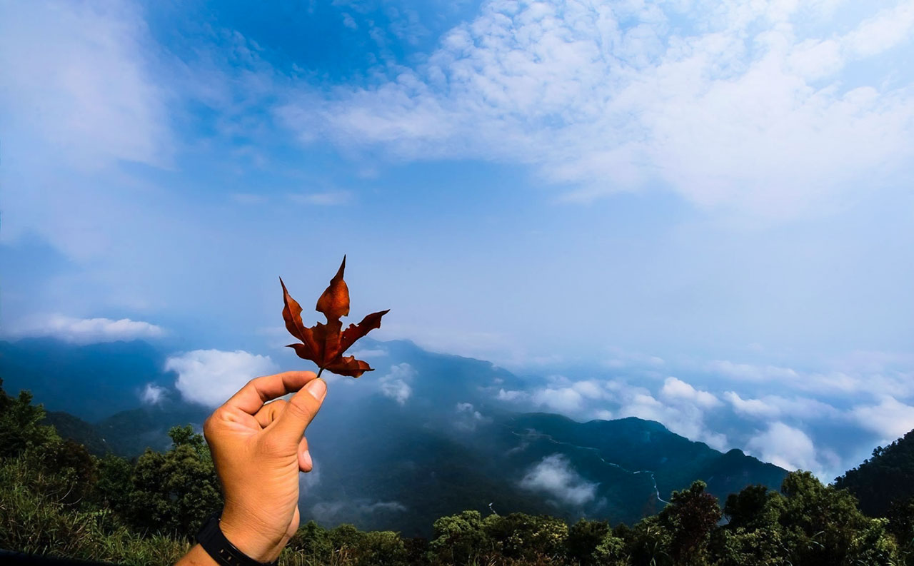 Kinh nghiệm chinh phục Bạch Mã cho du khách