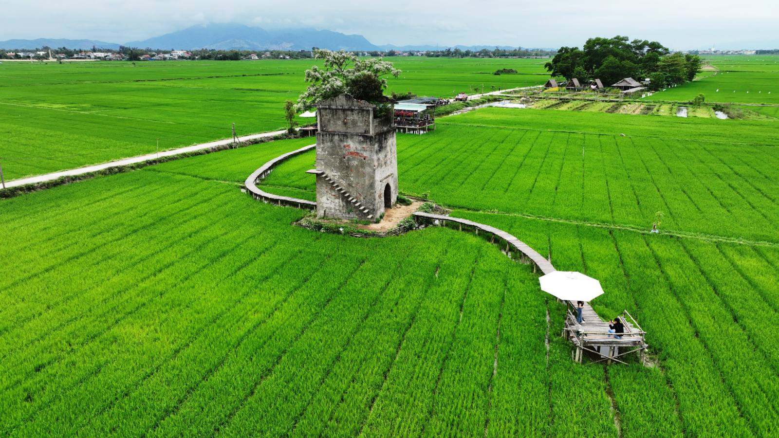 Quàn cà phê view ruộng lúa Lò Gạch Cũ