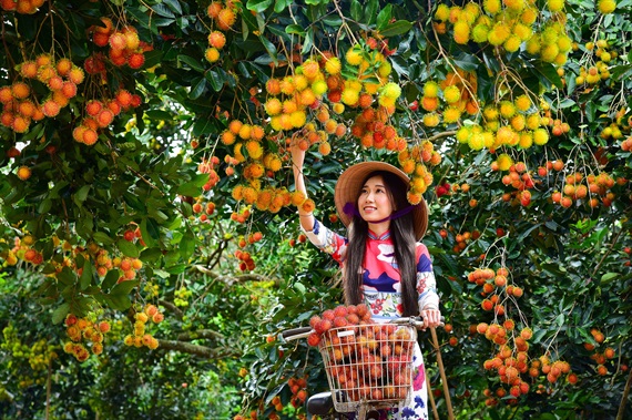 Ngọt ngào cây trái miệt vườn cùng Lễ hội trái cây Long Khánh