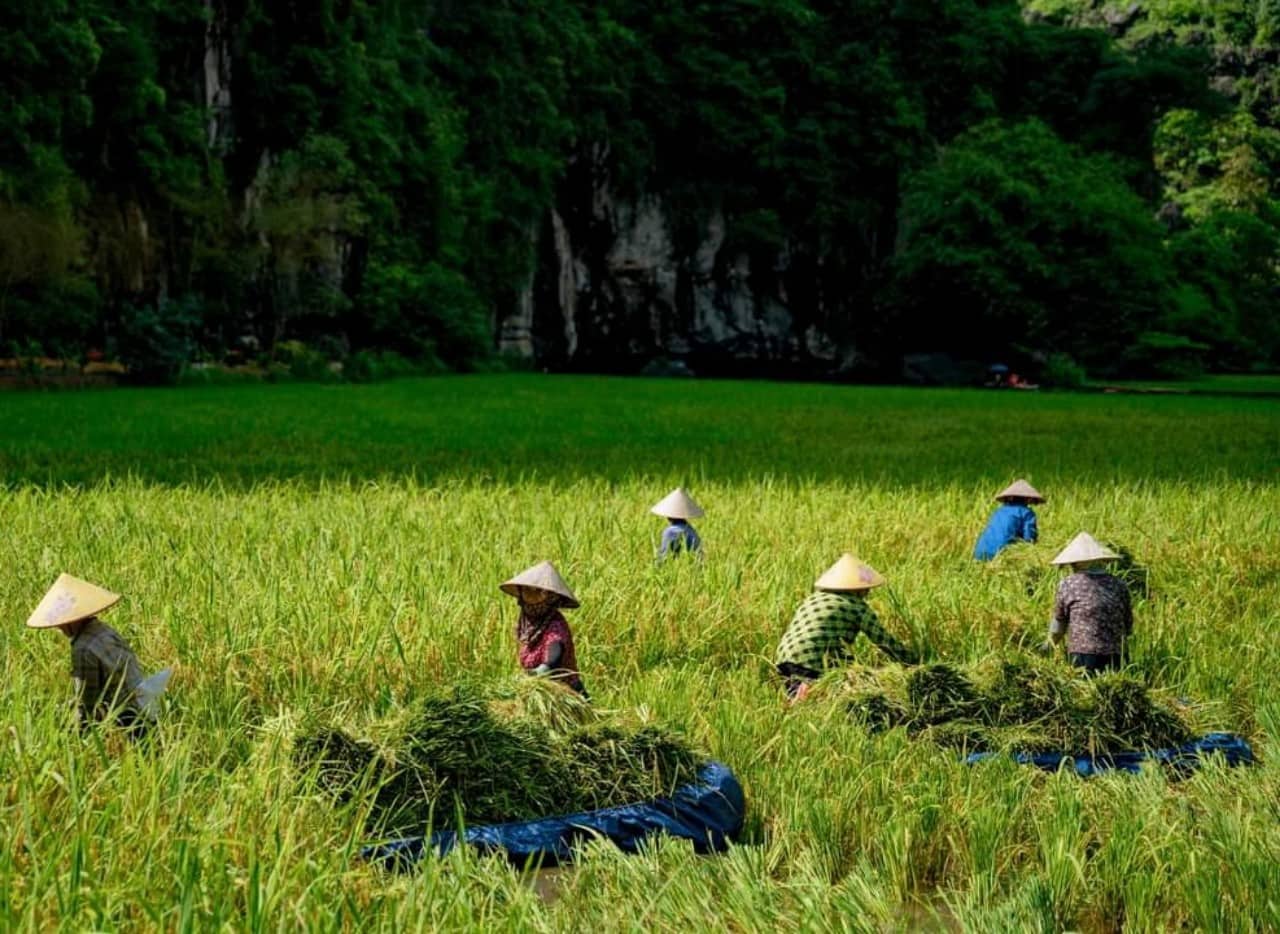 Khung cảnh yên bình của vùng cố đô