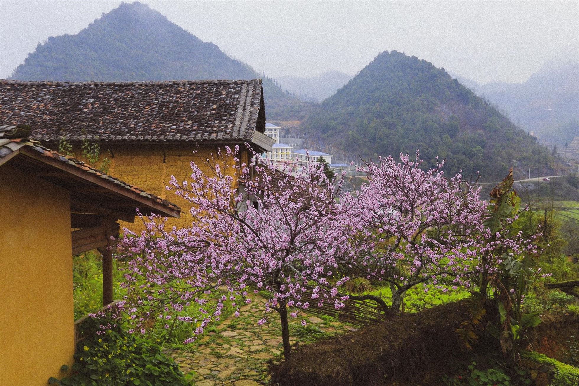 Vẻ đẹp yên bình của Lô Lô Chải