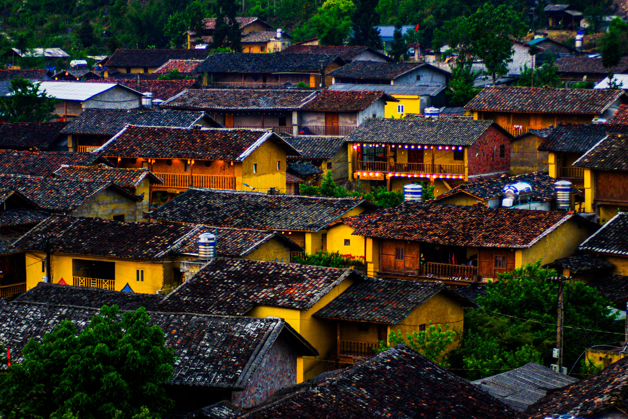 Lô Lô Chải