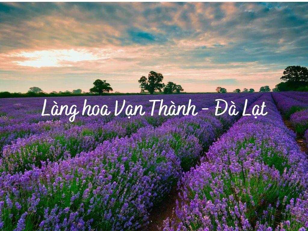 Làng hoa Vạn Thành 