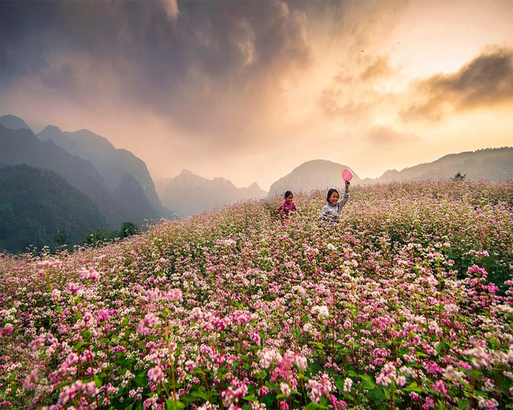 Cao nguyên đá Hà Giang