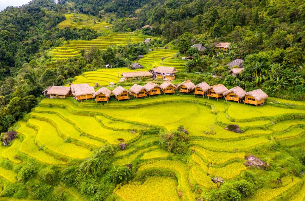 Ruộng bậc thang Hoàng Su Phì