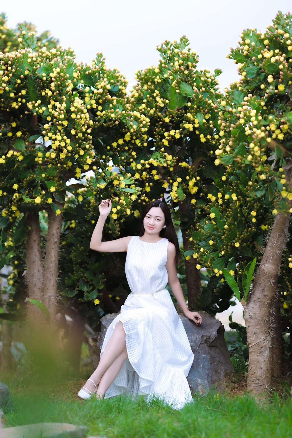 Nàng thơ bên những cây xương rồng cổ thụ vừa gai góc vừa xinh đẹp