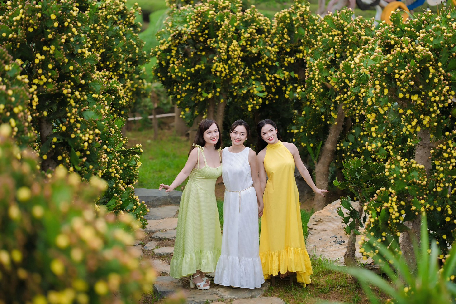 Khung cảnh thơ mộng, xinh đẹp