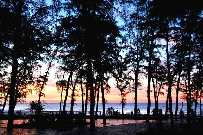 Mùa khô là thời điểm thích hợp cho du khách khám phá Đồi Dương