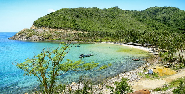 Vẻ đẹp quên lối về của Hòn Lớn Nam Du