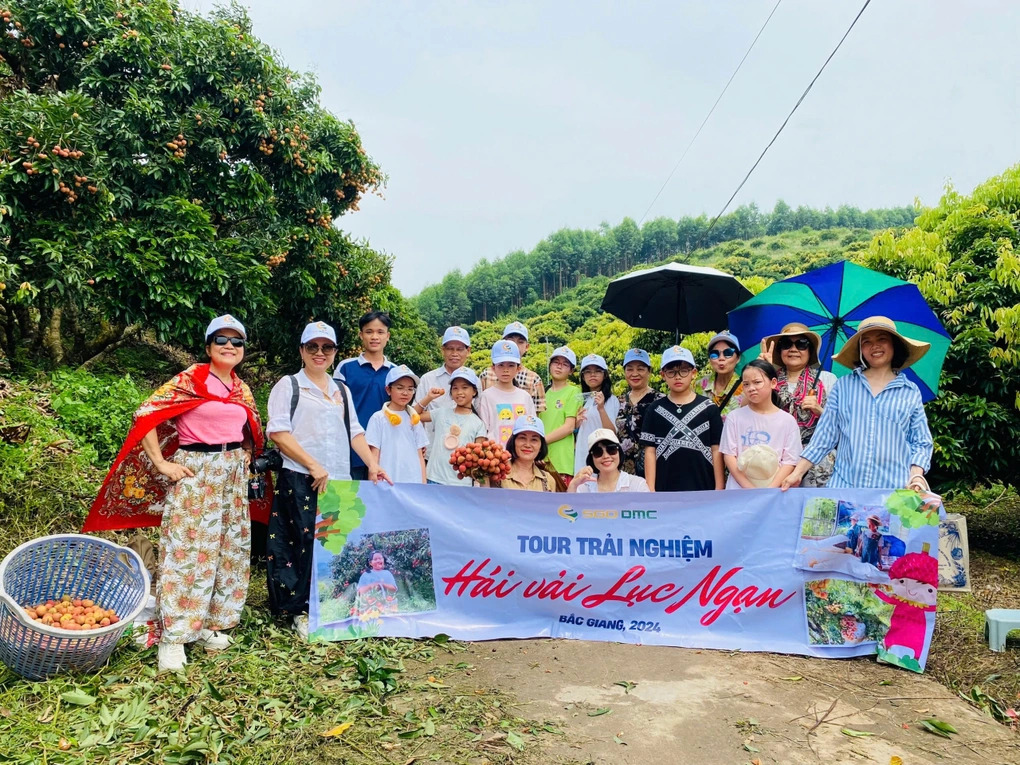 Tour trải nghiệm hái vải Lục Ngạn tạo nhiều ấn tượng cho du khách nhờ những trải nghiệm mới mẻ