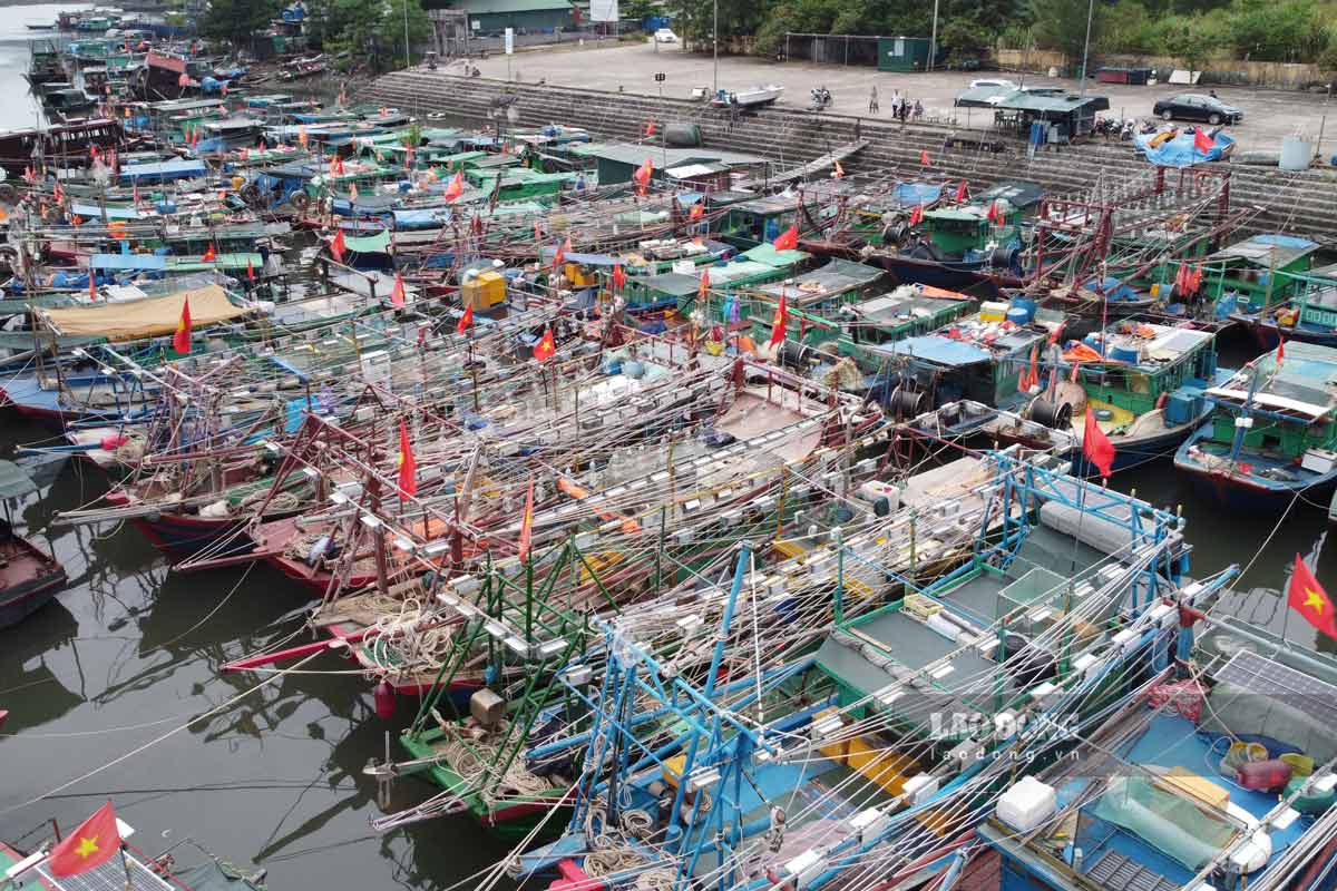 Cảng cá Hòn Gai